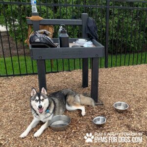 A husky lies on mulch beside metal water bowls under The Dog Post – Leash Holder & Toy Box at a dog park. The station, marked with "Gyms for Dogs" branding, holds bags, bottles, and towels near a fenced grassy area.