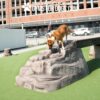 A brown and white dog stands on top of a fake rock structure on artificial grass at an outdoor dog gym, with a building visible in the background.