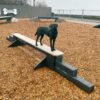 A black dog stands confidently on a narrow balance beam in a fenced dog park with wood chip ground and agility equipment in the background.