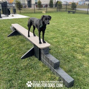 A black dog stands on a Jump Balance Beam in a grassy fenced area, with "PLAY & AGILITY POWERED BY GYMS FOR DOGS.COM" at the bottom.