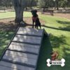 A black dog wearing a harness sits at the top of a wooden ramp in a park with green grass, trees, and benches. The logo "GYMS FOR DOGS" with a cartoon dog is in the bottom right corner.