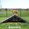 A small brown dog in a red harness stands atop the Hill Climb agility ramp on grass within a fenced area. The "Gyms for Dogs" logo appears at the bottom of the image.