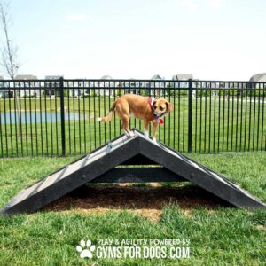 A small brown dog in a red harness stands atop the Hill Climb agility ramp on grass within a fenced area. The "Gyms for Dogs" logo appears at the bottom of the image.