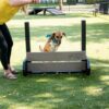 In a grassy, fenced park, a woman in a yellow shirt guides her brown and white dog in a blue bandana as it leaps over the Jump Hurdle - Small.