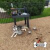 A Siberian Husky lies on wood chips near a black water station with bowls and a water bottle. There are stainless steel dog bowls on the ground. A fence and greenery are in the background. "Gyms for Dogs" logo in the corner.
