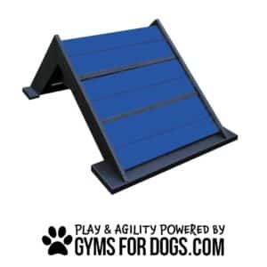 A blue and black A-frame dog agility ramp with the text "Play & Agility Powered by GymsForDogs.com" and a paw print logo beneath it.