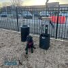 A black dog with a red harness sits beside a pet waste station and a trash can in a fenced outdoor area with parked cars and shops in the background.