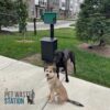 Two dogs, one black and one tan, stand on a sidewalk near a pet waste disposal station in a residential area with grass, trees, and apartment buildings in the background. "The PET WASTE STATION" logo appears in the corner.