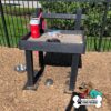 A black "Dog Post - Leash Holder & Toy Box" at the park has a bench, table, red water jug, plastic bags, dog treats, and two metal dog bowls on mulch. The fenced area shows a "Gyms for Dogs" logo in the corner.