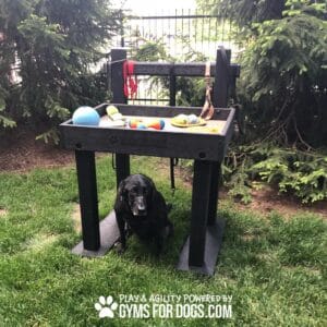 A black dog sits in front of The Dog Post - Leash Holder & Toy Box, an outdoor activity station with dog toys on top. The station is in a grassy yard with pine trees. Text reads "Play & Agility Powered by GymsForDogs.com.