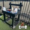 The Dog Post - Leash Holder & Toy Box stands on grass by a fenced gravel area at the Dog Park, holding leashes and toys. The "Gyms for Dogs" logo appears in the lower right corner.