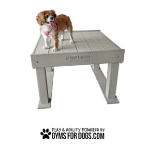 A brown and white dog in a pink harness stands on the Interactive Play Training Platform—Great for Shelters and Private Properties—at a Dog Park. Below: "Play & Agility Powered by GymsForDogs.com" with a paw print logo.