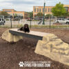 A large brown dog rests on Ellie's Boulder Bridge Pro—Bridge, Set of 2 Rocks, and Bumper Pads—at a Dog Park. In the background are buildings, a fence, and trees. Text on the image reads, “Gyms For Dogs.”.