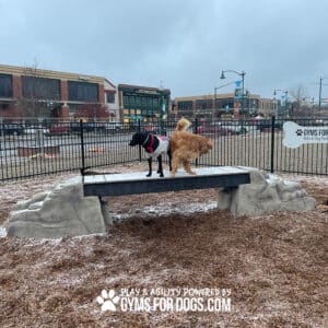 Two dogs, one black and one golden, stand on Ellie's Boulder Bridge Pro—Bridge, Set of 2 Rocks, and Bumper Pads—at a fenced Dog Park. Buildings and cloudy skies are in the background. The sign reads "GYMS FOR DOGS.