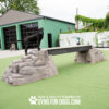 A black dog stands on Ellie's Boulder Bridge Pro—Bridge, Set of 2 Rocks, and Bumper Pads—on green turf in a Dog Park near a green and white building. Text on the image reads: “Gyms for Dogs.”.