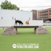 Two dogs, one black and one brown, walk on Ellie's Boulder Bridge Pro—featuring a bridge connected to two rock-like structures with bumper pads—in an outdoor dog park with artificial grass. "Gyms for Dogs" branding appears at the bottom.