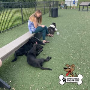 A woman sits on a bench at a dog park as three black dogs rest near the Jump Balance Beam and another dog lies behind her. The corner displays the "Gyms For Dogs" logo.