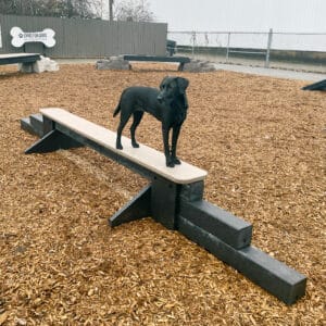 A black dog balances on a beige and black Jump Balance Beam in a fenced dog park, with wood chip ground and agility equipment visible in the background.