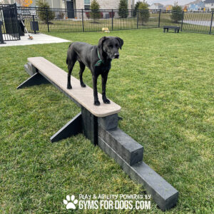 A black dog stands on a raised Jump Balance Beam in a grassy, fenced Dog Park. The text "Play & Agility Powered by Gyms For Dogs.com" appears at the bottom of the image.