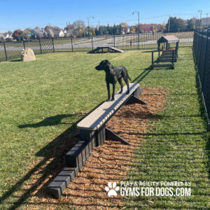 A black dog stands on a Jump Balance Beam in a grassy, fenced Dog Park with playground equipment. The "Gyms For Dogs" logo appears in the bottom right corner.