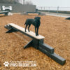 A black dog stands confidently on an elevated Jump Balance Beam in a wood-chipped dog park, with fencing branded “GYMS FOR DOGS” logos.