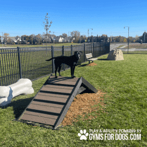 A black dog stands on the Hill Climb ramp in a grassy Dog Park with agility equipment under a clear, sunny sky. The "Gyms for Dogs" logo appears in the bottom right corner.