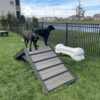 Two black dogs stand on an angled Hill Climb ramp in a fenced dog park with grass, a large white bone-shaped structure, and houses in the background. Text on image reads "Gyms For Dogs.