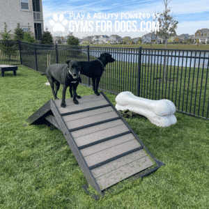 Two black dogs stand on the Hill Climb, a wooden ramp in a fenced dog park with green grass, a white bone-shaped bench, houses, and a pond in the background. "Gyms for Dogs" branding appears on the image.