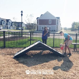 A woman and a man guide a dog on a leash over the Hill Climb ramp at the dog park, enclosed by a black metal fence with houses in the background on a sunny day.