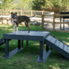 A happy dog stands on the Bridge Climb 24" Tall (L/X) with ramps in a fenced dog park, surrounded by grass, trees, and picnic tables on a sunny day.