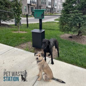 The Pet Waste Station with Scooper - In-Ground Mount