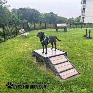 A black dog in a blue harness stands on the Bridge Climb 18" Tall (S/M) in a grassy, fenced Dog Park under an overcast sky. Agility equipment is visible in the background. Text reads, "Play & Agility Powered by GYMS FOR DOGS.COM.
