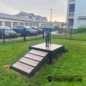 A black dog stands on a Bridge Climb 18" Tall (S/M) agility platform in a grassy, fenced Dog Park near parked cars and apartments. The platform is branded "GYMS FOR DOGS.COM" in the lower right corner.