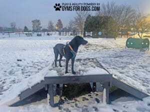A black dog wearing an orange harness stands on the Bridge Climb 24" Tall (L/X) in a snowy dog park, surrounded by trees, fences, and playground equipment in the background.