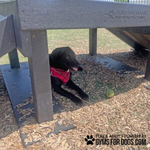A black dog in a red bandana lies under the Bridge Climb 24" Tall (L/X) structure at the Dog Park, resting by a green tennis ball and seeking shade on a sunny day.