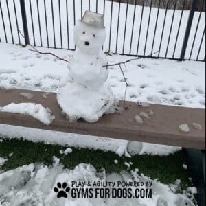 A small snowman with stick arms, a metal bowl hat, and button eyes sits on a park bench in a snowy dog park. The bench features black text: "GYMS FOR DOGS.COM Play & Agility Powered By Jump Balance Beam.