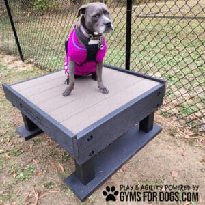 A small gray dog in a pink sweater sits on the Training Platform (S/M) outdoors by a chain-link fence. "Play & Agility Powered by Gyms for Dogs.com" and a paw print logo are visible.