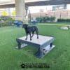 A black dog stands on a Training Platform (L/X) in a fenced outdoor dog park with artificial grass, benches, and agility equipment under a highway overpass.