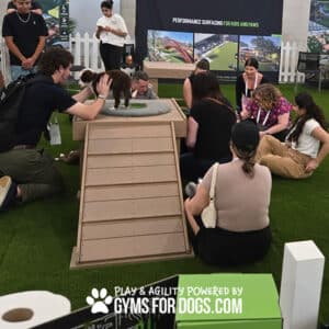People and dogs gather indoors around an agility ramp and artificial turf, enjoying play and training activities in this unique indoor dog park. A sign in front reads, "Play & Agility Powered by GymsForDogs.com.