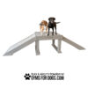 Two dogs stand on top of an elevated dog agility ramp at a Dog Park, with two inclined ramps on each side. Below, text reads "Play & agility powered by GymsForDogs.com" with a paw print icon.