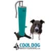 A black and white dog sits beside a teal Doggie Demand COOL DOG Portable Fresh Flow Water Fountain (SLV), featuring a curved spout and hooked up to a garden hose. The "Cool Dog Water Fountains" logo with a wolf illustration is below them.