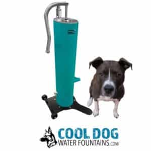 A black and white dog sits beside a teal Doggie Demand COOL DOG Portable Fresh Flow Water Fountain (SLV), featuring a curved spout and hooked up to a garden hose. The "Cool Dog Water Fountains" logo with a wolf illustration is below them.
