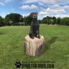 A black dog sits on a large Lumber Mill artificial tree stump in a grassy field under a blue sky. Text at the bottom reads, "Play & Agility Powered by GymsForDogs.com" with a paw print logo.
