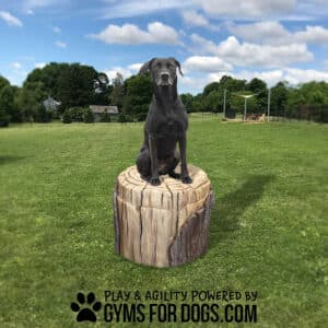 A black dog sits on a large Lumber Mill artificial tree stump in a grassy field under a blue sky. Text at the bottom reads, "Play & Agility Powered by GymsForDogs.com" with a paw print logo.