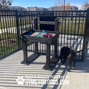 A black dog stands near a fenced dog play area with a raised play station holding blue dog toys. Text at the bottom reads, "Play & Agility Powered by Gyms For Dogs.com.