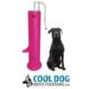 A tall, pink dog water fountain stands next to a sitting black dog. Below them is the Cool Dog Water Fountains logo featuring a dog head silhouette and blue text.
