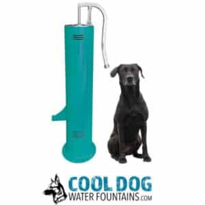A large black dog sits next to a tall, teal public water fountain with a curved spout. Below them is the logo "Cool Dog Water Fountains" with a dog illustration.
