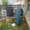 A brown dog with a white chest and yellow bandana sits on grass near the Doggie Demand Fresh Flow Portable Water Fountain Spout & Pet Hose (SLV), along with a water bowl and a "Dog Park Rules" sign in the background.