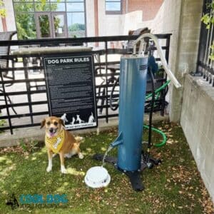 A brown dog with a white chest and yellow bandana sits on grass near the Doggie Demand Fresh Flow Portable Water Fountain Spout & Pet Hose (SLV), along with a water bowl and a "Dog Park Rules" sign in the background.