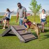 A man guides a brown dog on a leash up a small ramp at a dog park, while other people and dogs are in the background on a sunny day.
